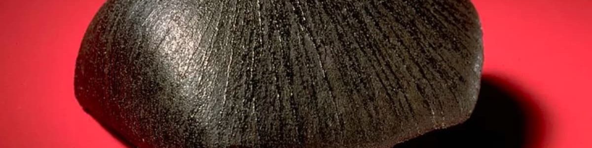 O mistério de um meteorito de Marte que faz os porcos vomitarem