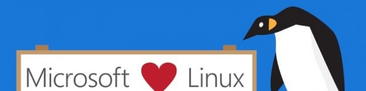 Windows 10: Como aceder aos ficheiros da Bash do Ubuntu?