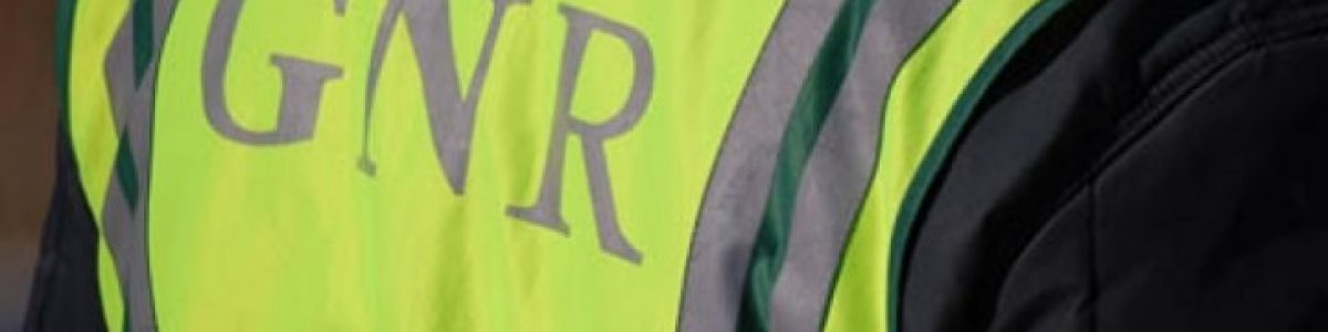 Portugal: GNR apreende máquinas de jogo e PCs com apostas