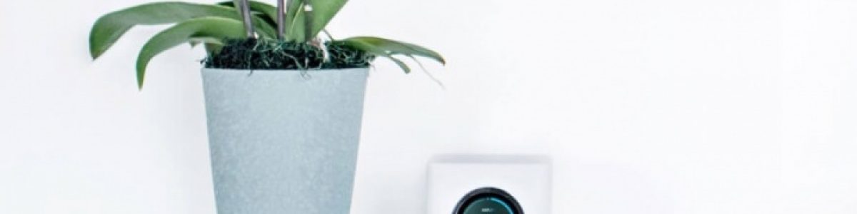 AmpliFi: Este é o router que toda a gente o saberá configurar