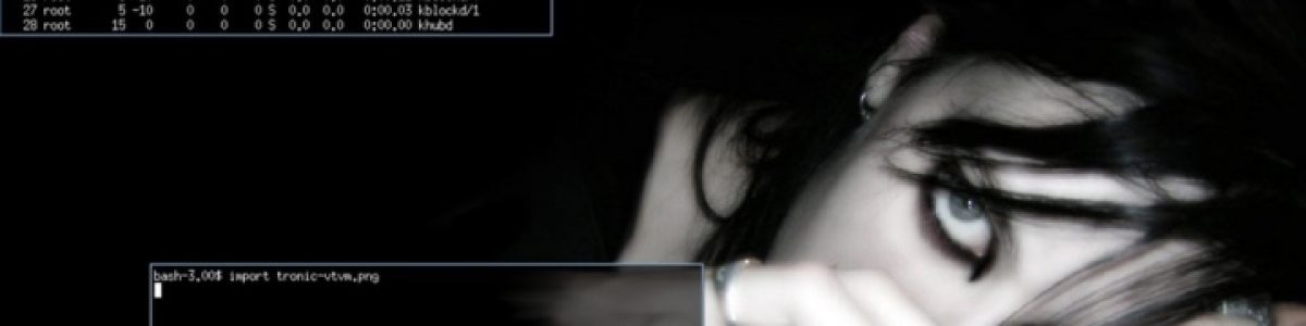 5 das melhores distribuições Linux para utilizadores avançados