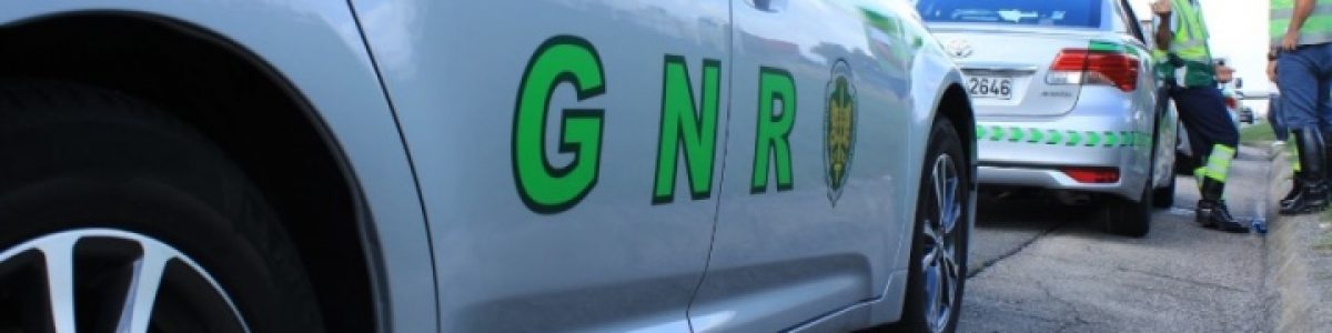 Atenção ao telemóvel! GNR e PSP passam em média 115 multas por dia