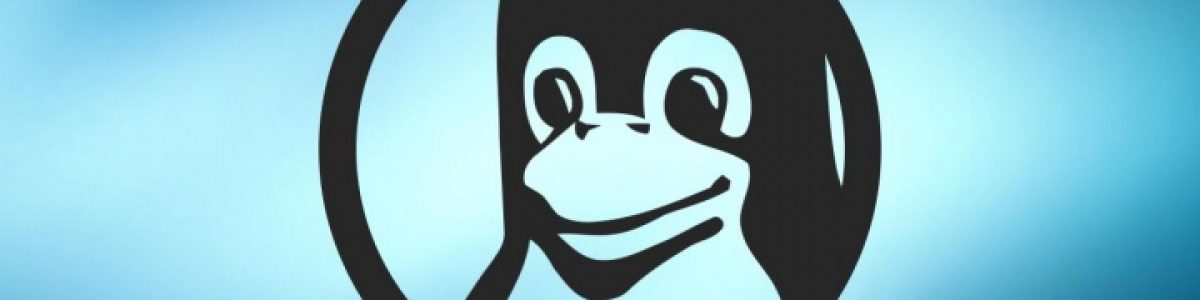 Será que o Linux é tão seguro quanto se diz por aí?