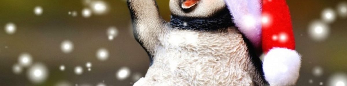 TOP 5 – Melhores distribuições GNU/Linux lançadas em 2018
