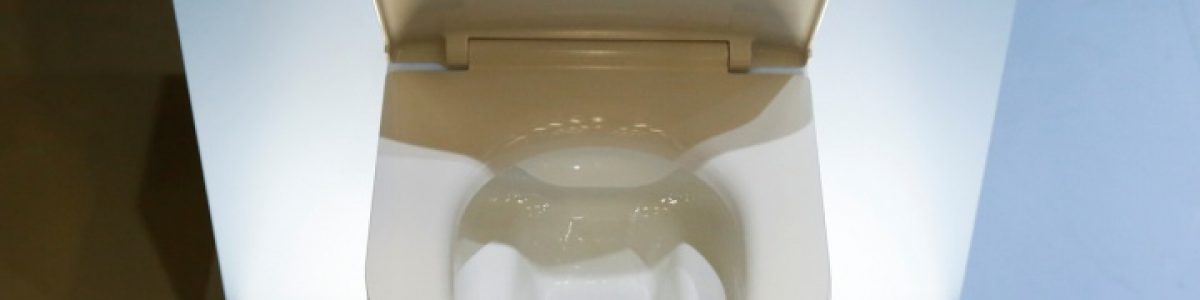 Há uma sanita que transforma urina em água potável e fezes em cinzas
