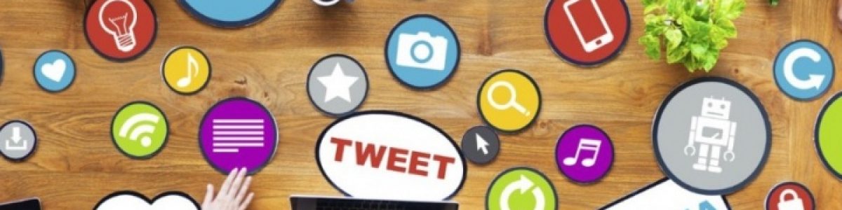 IPBRICK.CAFE – A Rede Social para a sua empresa