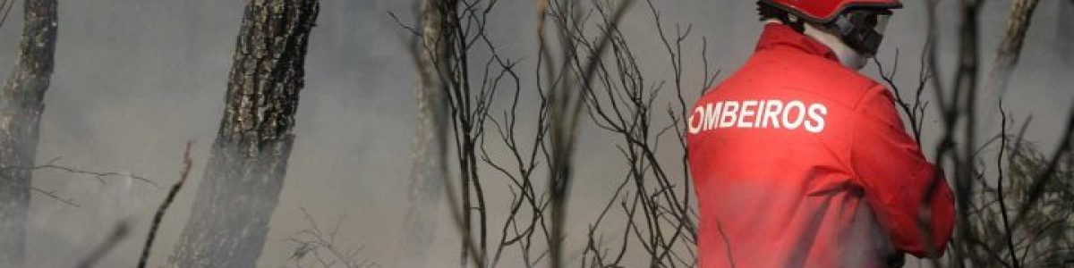 Incêndios florestais: Anacom quer baixar taxas de ligações hertzianas
