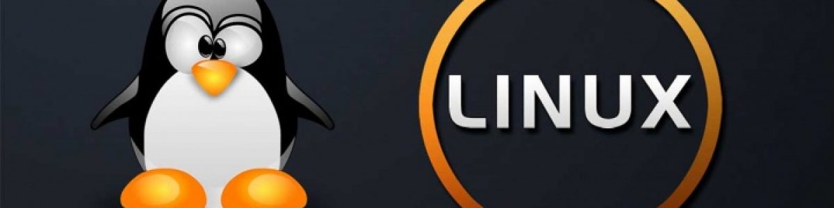DCP: Copie ficheiros entre máquinas Linux sem ter de instalar o SSH