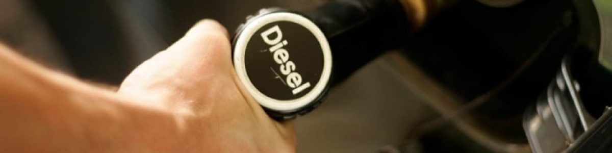 Veículos elétricos? Mais de 70% dos veículos do Estado são a gasóleo