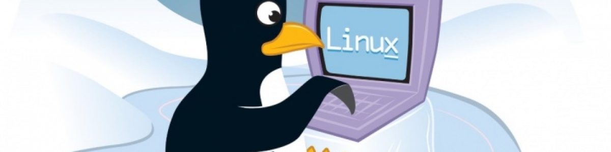 Adeus Windows 10! Mude para uma destas 5 distribuições Linux em 2019