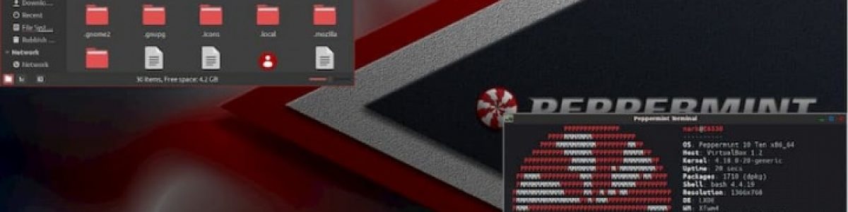Peppermint OS 10 – O seu PC vai ficar mais rápido que um Tesla