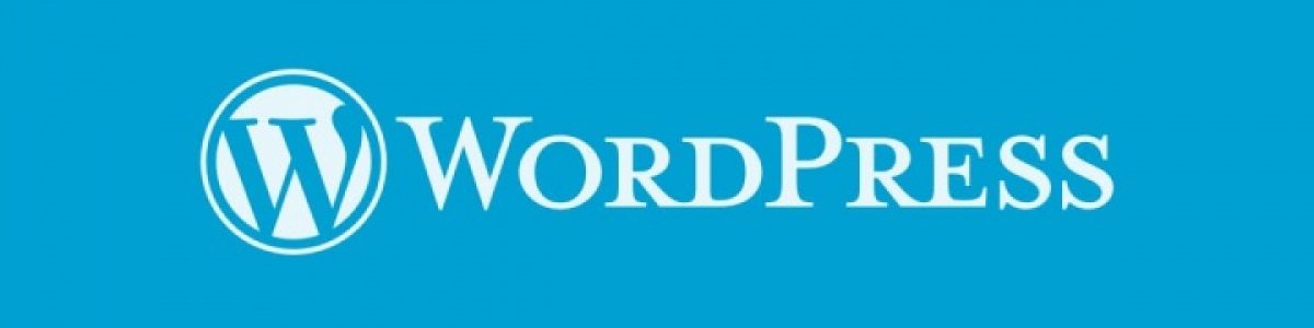 WordPress: Porque deve apostar num Website com esta plataforma?