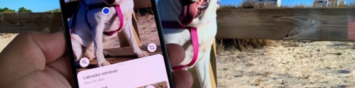 5 coisas mágicas que pode fazer com o Google Lens