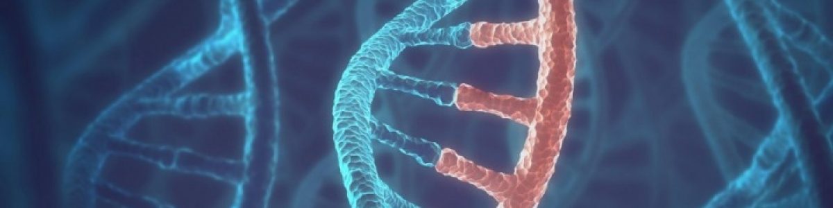Por que envelhecemos? Qual é o papel do DNA no envelhecimento?