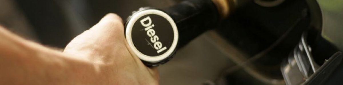Alerta Zero: Tem carro a gasóleo? Sabia que usa óleo de palma?
