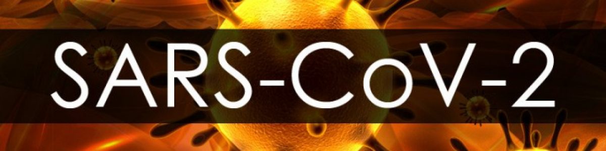 Covid-19: Dashboard com informação apenas de Portugal