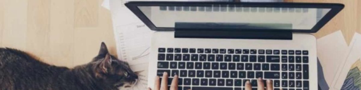 COVID-19: Recusar teletrabalho terá de ser feito por escrito