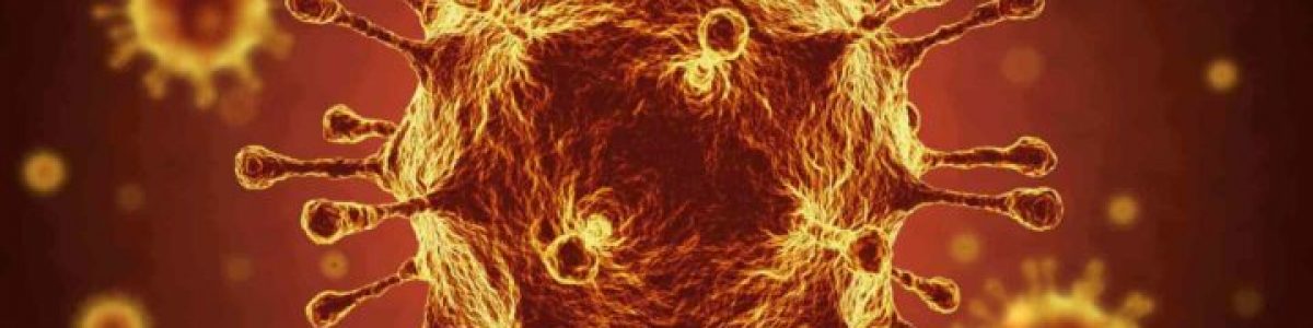 COVID-19: Há 3 novas variantes do vírus a circular em Portugal