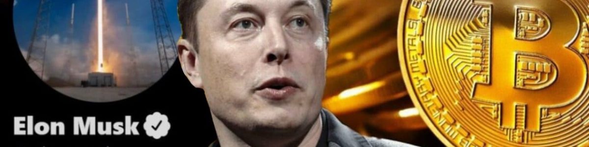 Bitcoin: Tesla compra mais de 1,2 mil milhões de euros e criptomoeda dispara