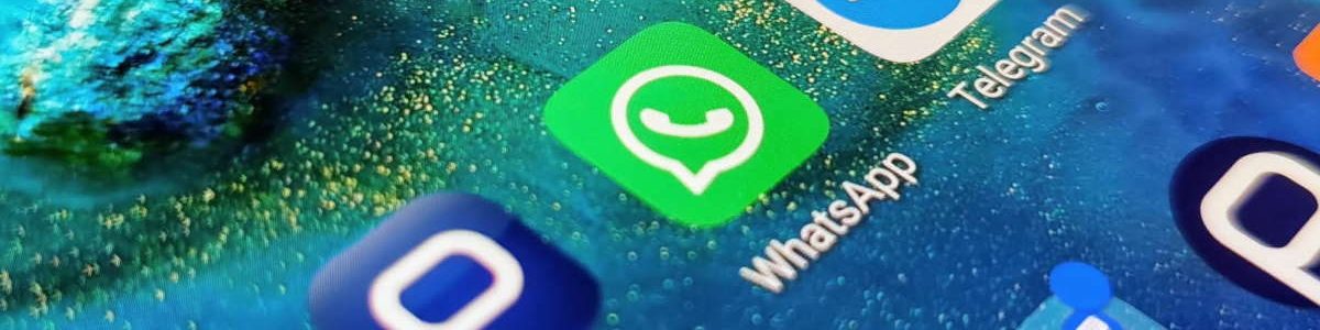 WhatsApp: Não pode responder aos seus contactos? Deixe uma resposta automática