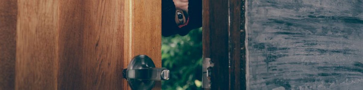 Câmaras IP – Proteja e vigie a sua casa à distância