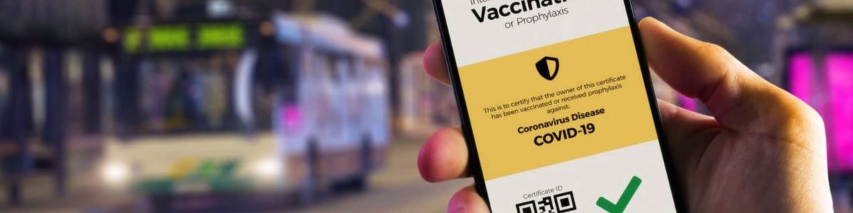 COVID-19: Rede de venda de vacinas e certificados falsos desmantelada