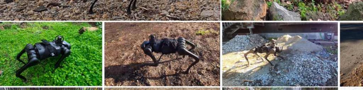 Já viu um robô a caminhar na areia? Facebook dá uma ajuda…