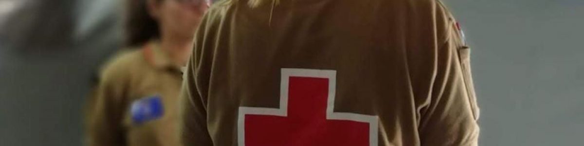 Cruz Vermelha: Ataque informático rouba 515 mil registos pessoais