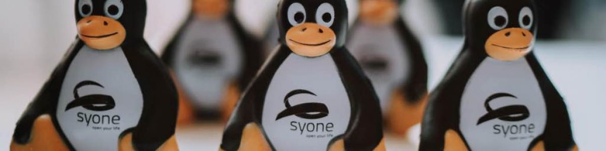 Syone: empresa de soluções Open Source faturou 11,8M euros em 2021