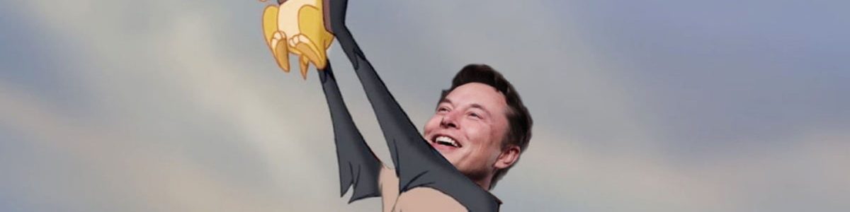Elon Musk acusado de esquema de pirâmide de Dogecoin é processado em $258 mil milhões