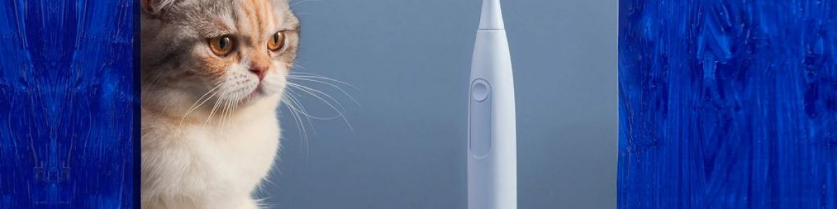 Escova de dentes elétrica Oclean F1 – a melhor tecnologia para cuidar da sua higiene oral