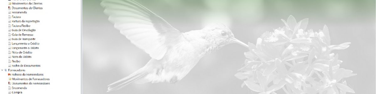 Projecto Colibri – software de gestão intuitivo com as melhores ferramentas