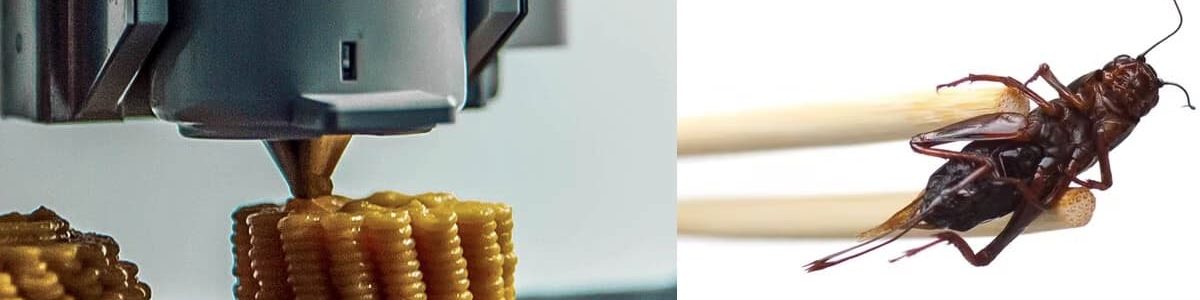 Impressão 3D de insetos misturados com vegetais poderão ajudar a combater a fome