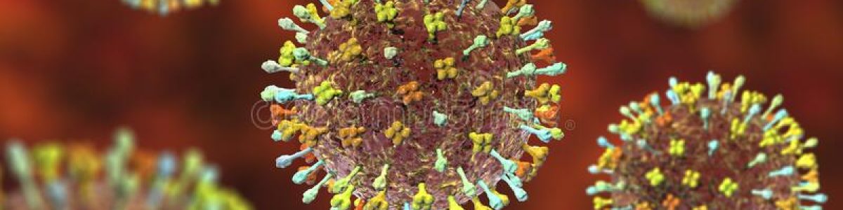 Hendra: A nova ameaça ao ser humano depois do SARS-COV-2?