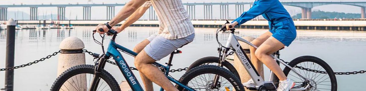 Sugestões Pplware: troque a sua bicicleta, por uma e-bike