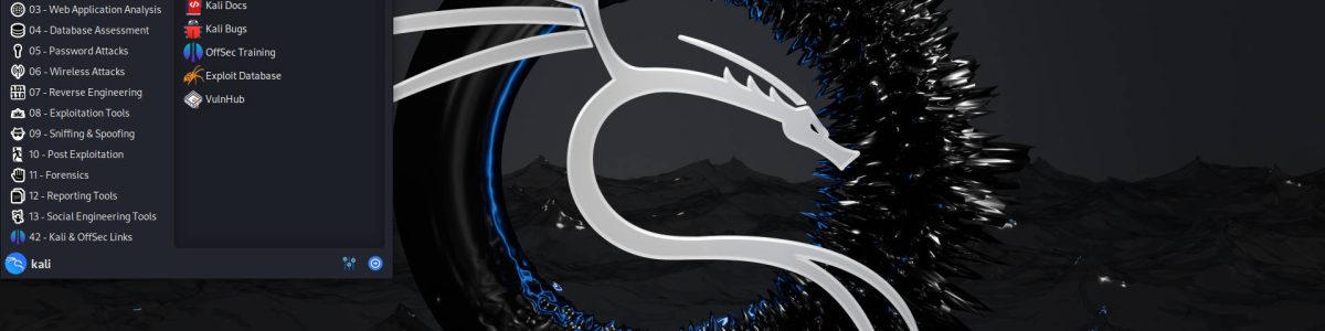 Montar um servidor SSH no Kali Linux